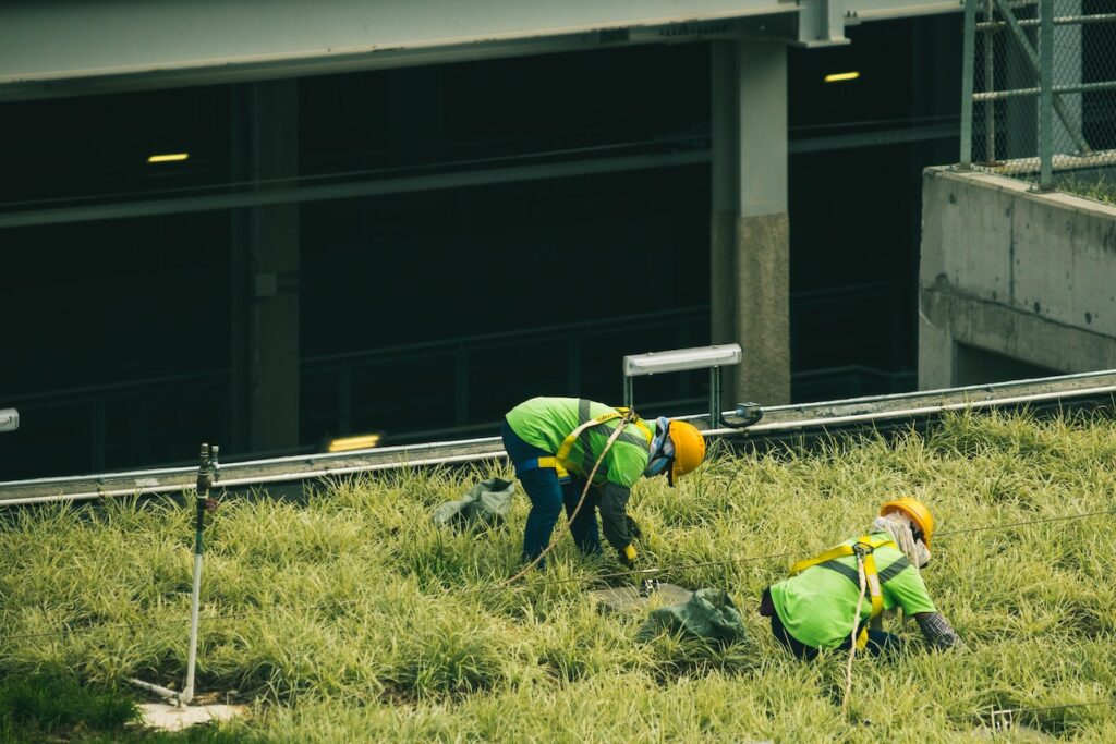 Tree service crew at work