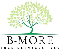 B-More Tree Services LLC logo