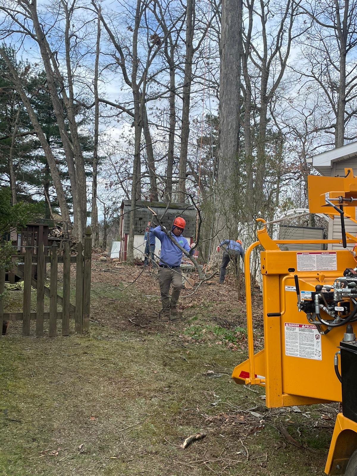 B-More Tree Services portfolio crane work