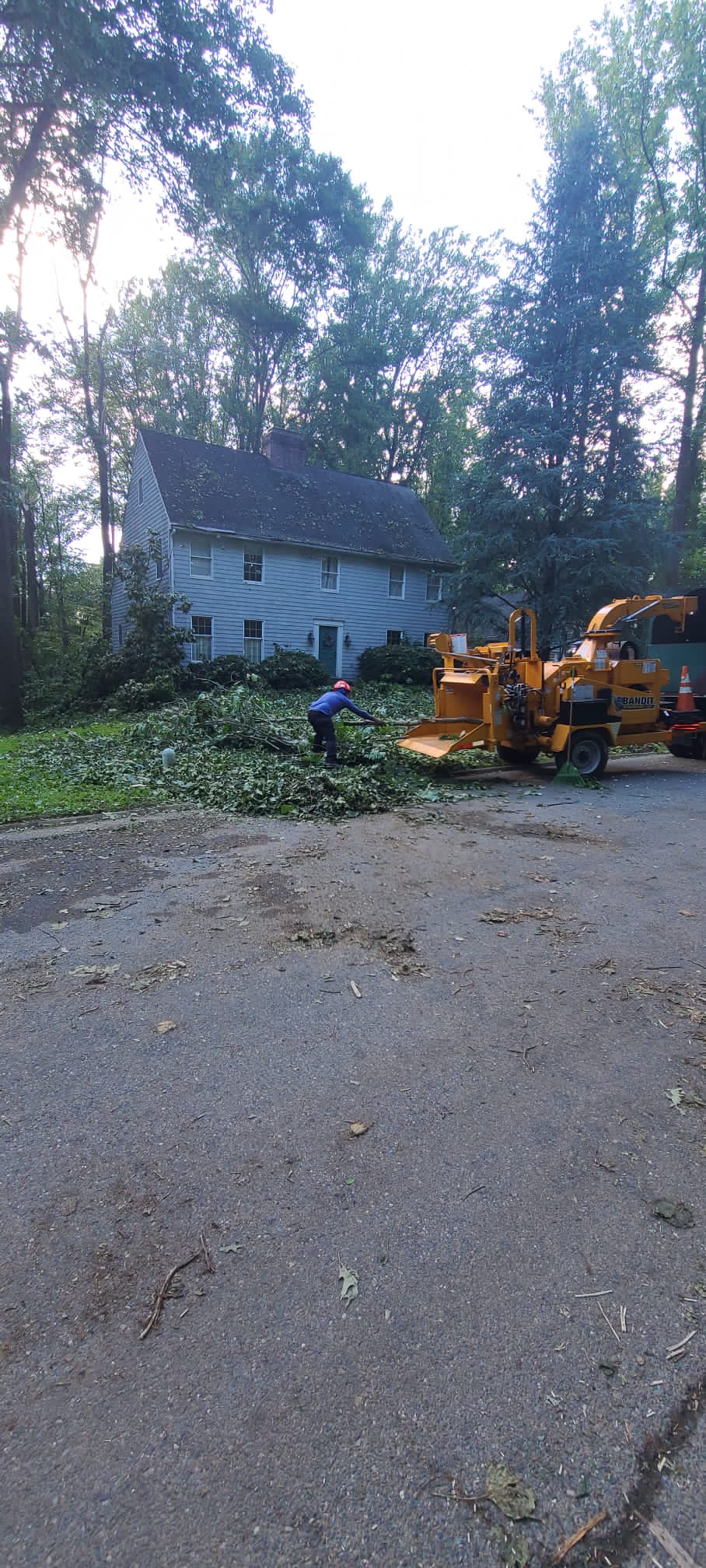 Tree work equipment