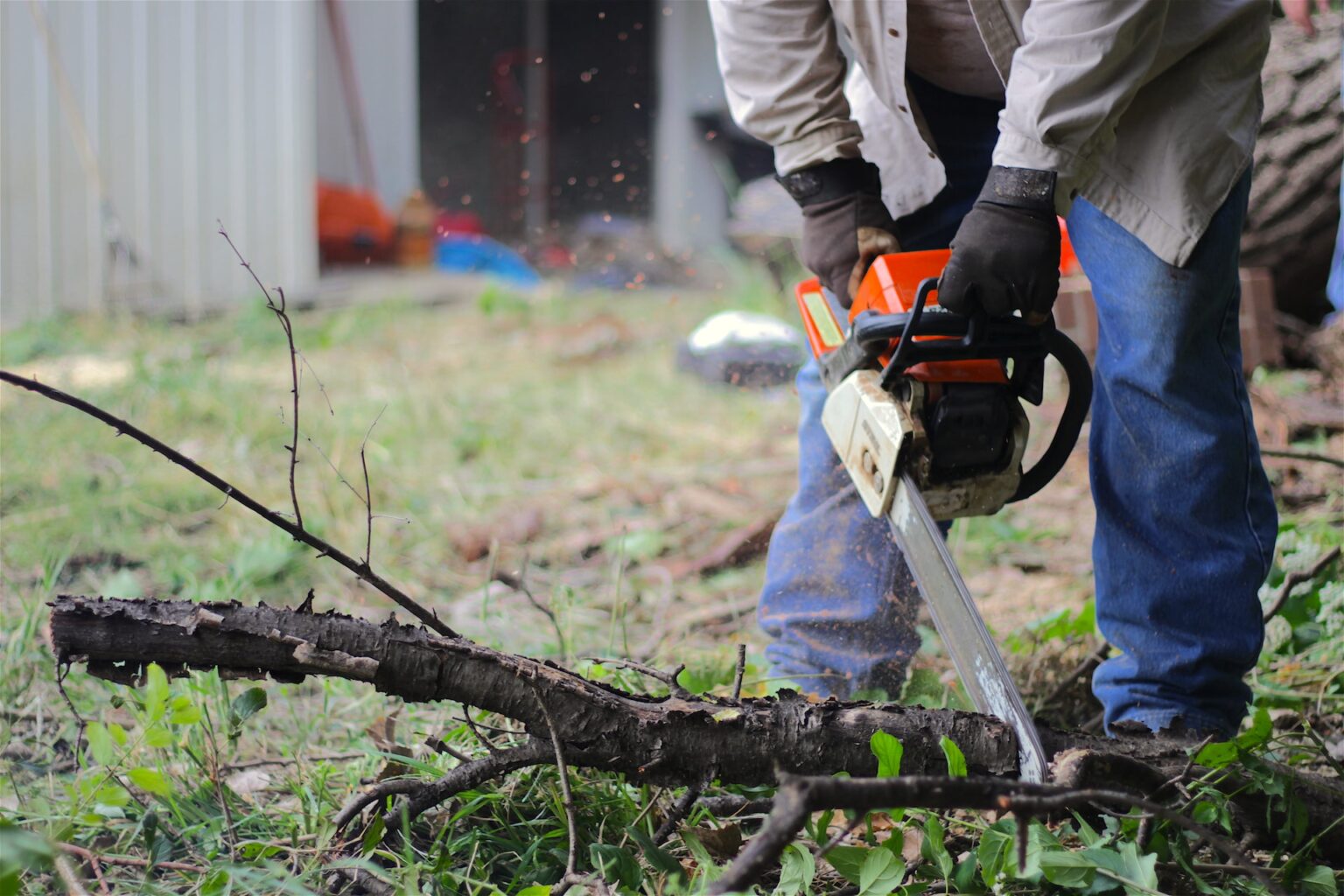 Tree canopy trimming
